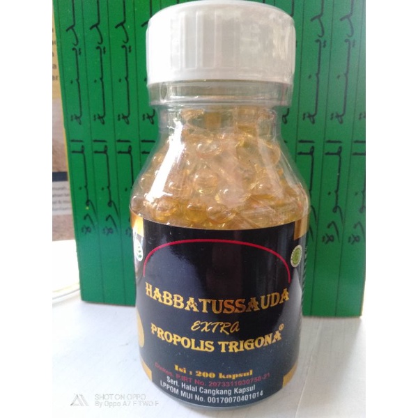 Habbatussauda propolis Trigona