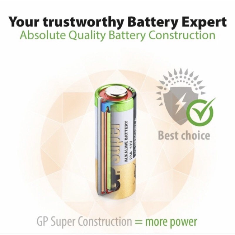 Battery Baterai Alkaline Remote Mobil Motor Alram Doorbell LR29A GP29A