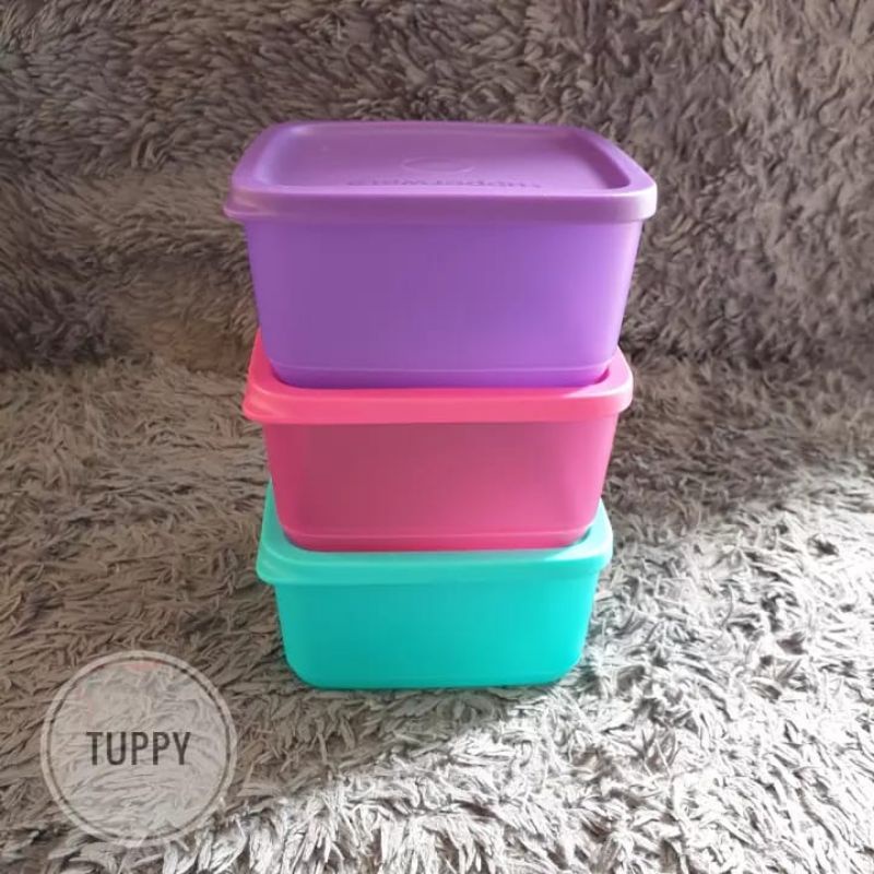 Small Square Round mangkok tupperware bertutup 1 pcs