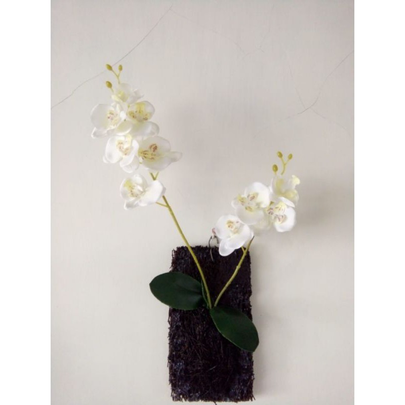 Anggrek gantung bunga hias termurah