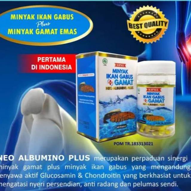Albumin minyak ikan gabus gamat