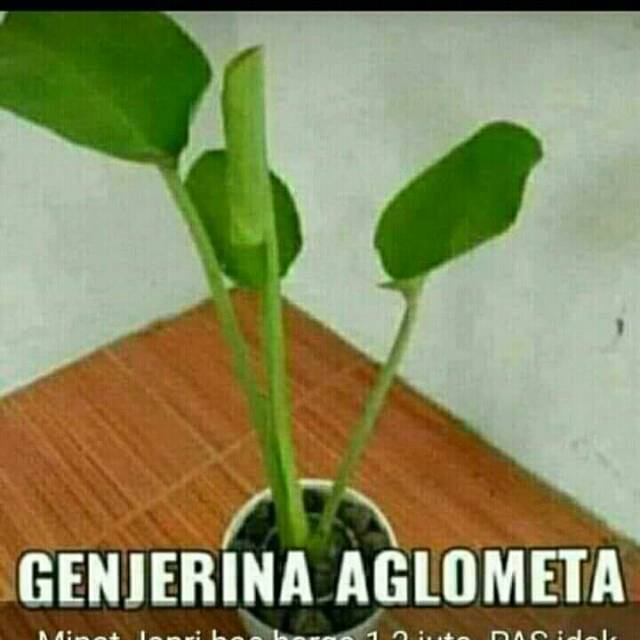 nkxzy3k_nav7ocuoz1tx3iok93ne