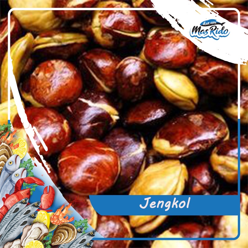 

Jengkol Tua Mentah Segar Kwalitas Premium Harga Murah