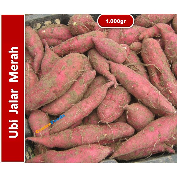 

Ubi Jalar | Merah [ Harga Per KG ]