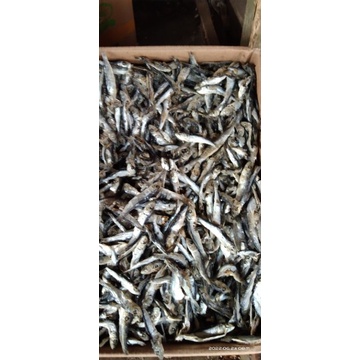 

Ikan Asin Lemet Cikung/Cikong Semenit