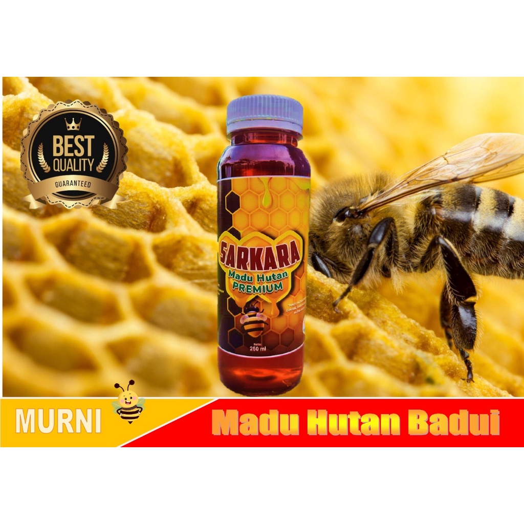 

Madu Murni - Madu Asli Hutan Badui | 100% Asli Madu Badui
