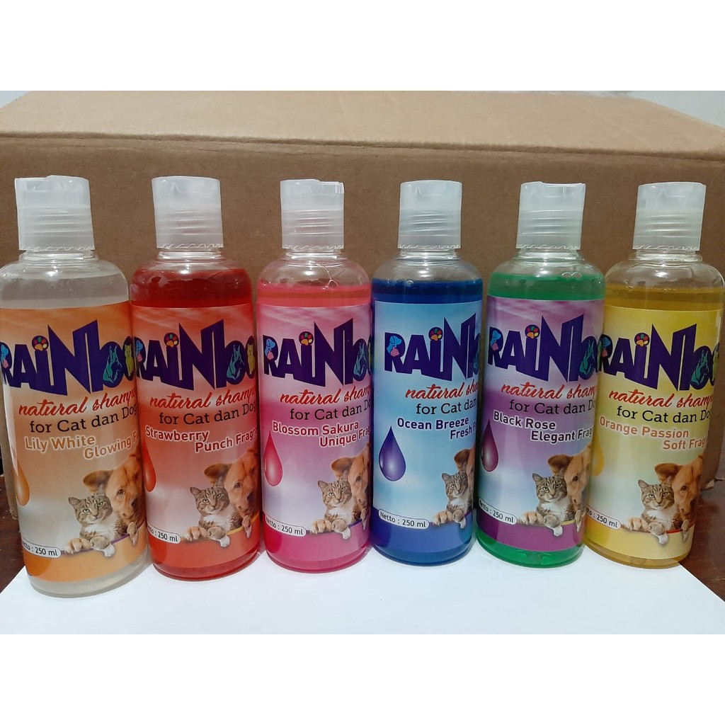 shampo kucing rainbow