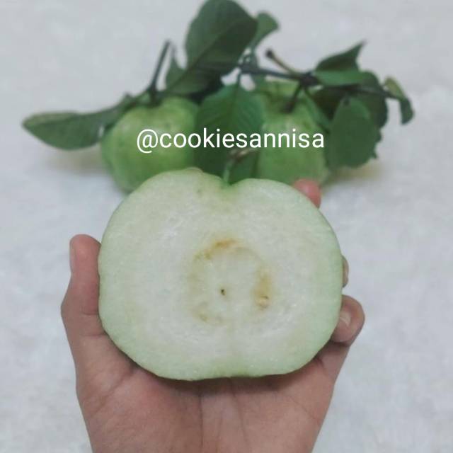 

MURAH BANGET Buah Jambu Kristal Manis dan Renyah BARU