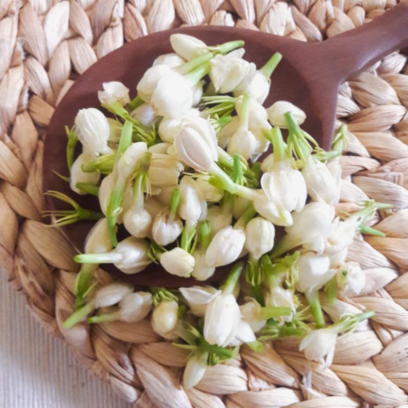 

BUNGA MELATI SEGAR MURAH