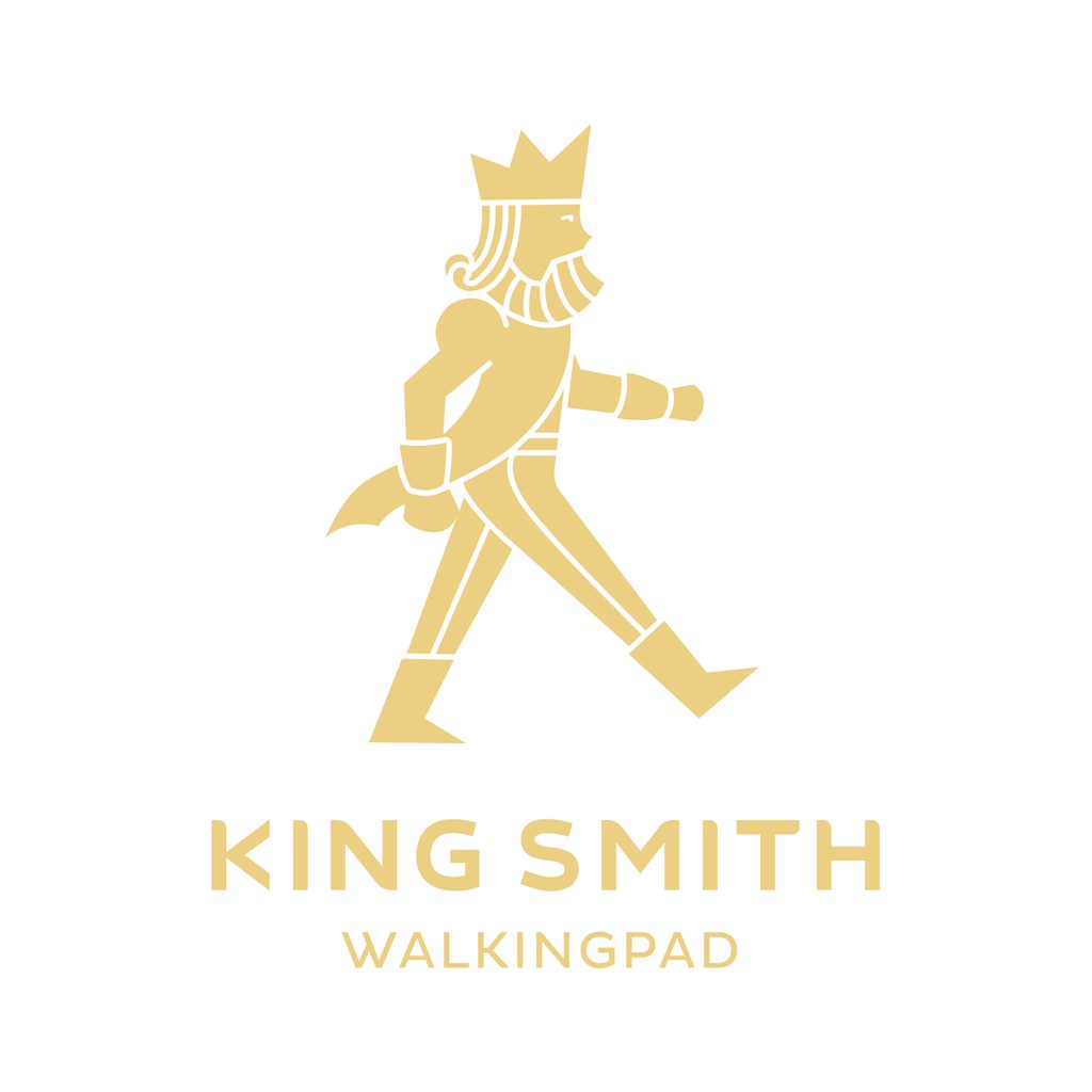 Kingsmith Walkingpad R1s PRO 2in1 Fitness Treadmill - Global Version Garansi Resmi