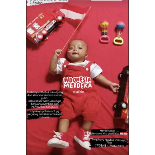 OVERAAL + CIPUT ANAK BAYI MALIKIN UNISEX 3-15 BULAN / BAJU KODOK ANAK BAYI / BAJU RAJUT BAYI