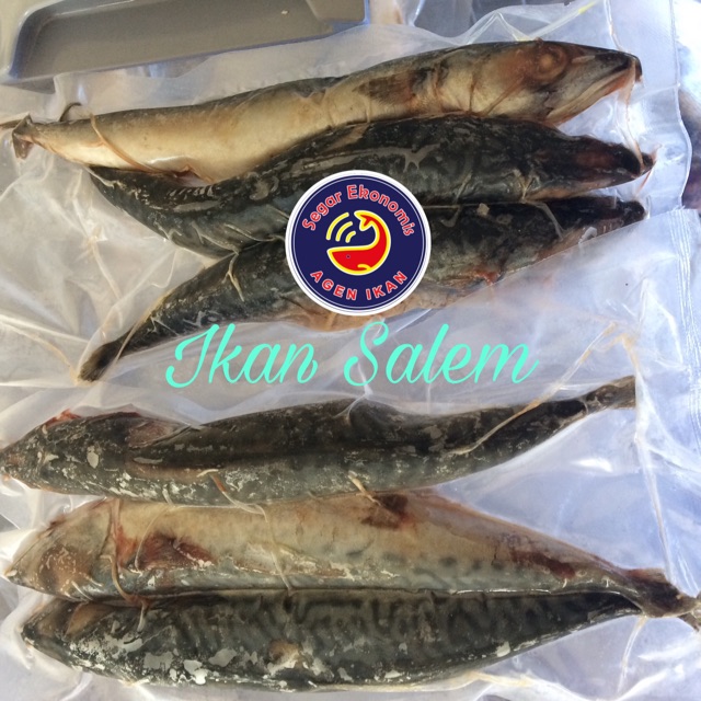 

Ikan Selem Fresh/ Ikan Salem Frozen isi 3 pcs
