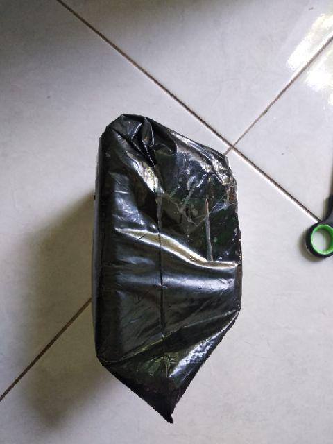 Kenmaster Wash Sponge - Busa Pencuci Motor Isi 2 Pcs