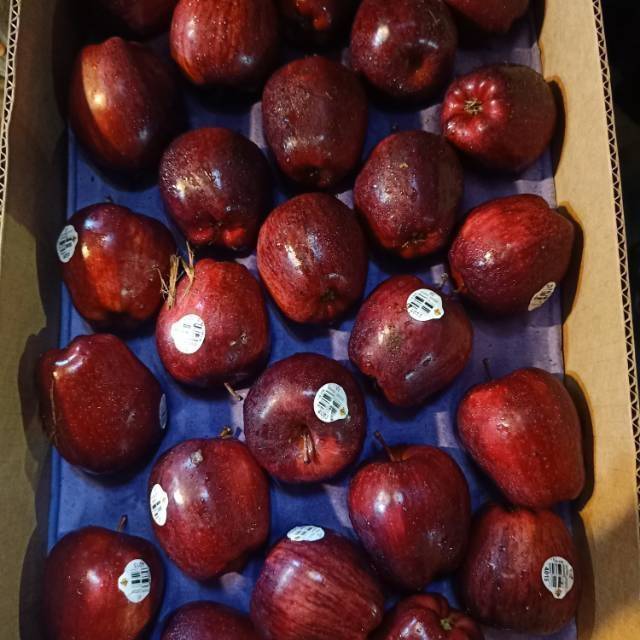 

APEL MERAH(RED DELICIOUS)/1KG