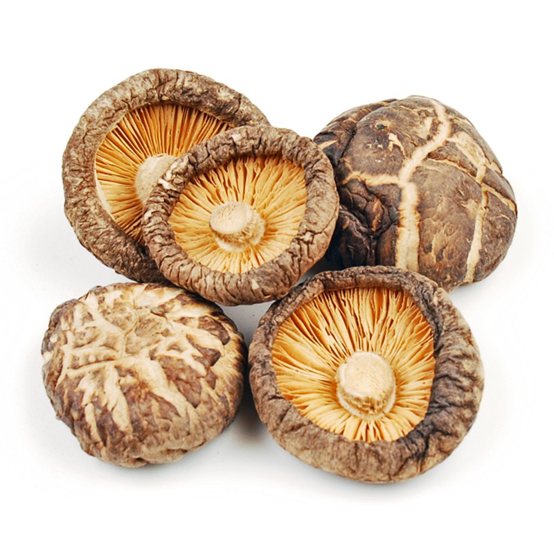 

Natural Dried Shitake ( Jamur Kering ) - 100 Gr