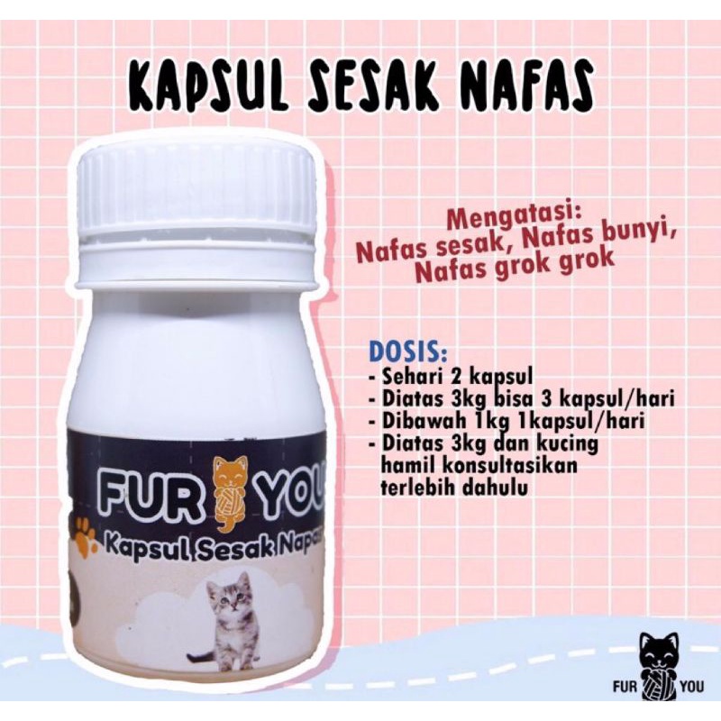obat kapsul sesak nafas . obat kapsul kucing sesak nafas