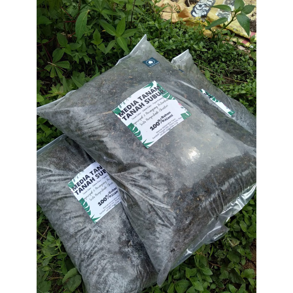 MEDIA TANAM ORGANIK  (Tanah Subur + Sekam Bakar + Pupuk Kandang)