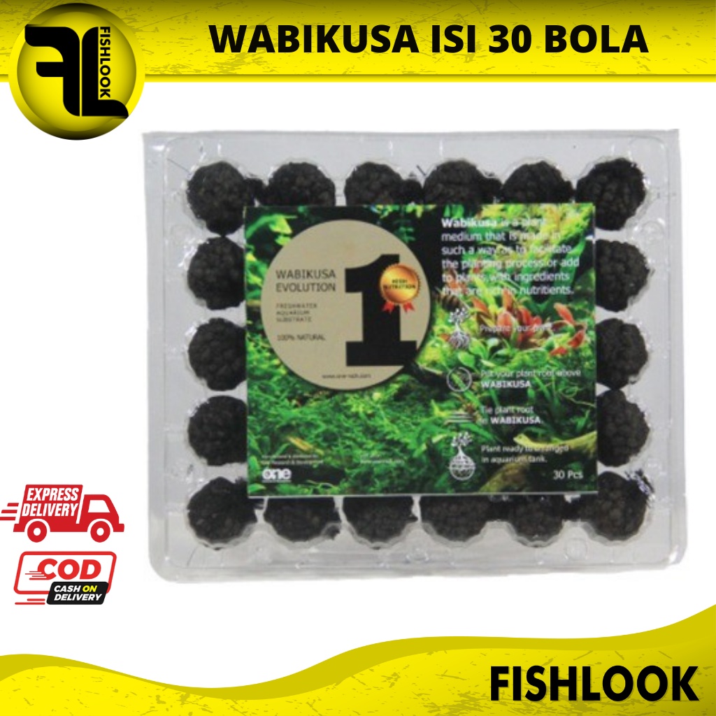 WABIKUSA AQUASCAPE EVOLUTION ISI 30 BALL MEDIA TANAM AQUASCAPE