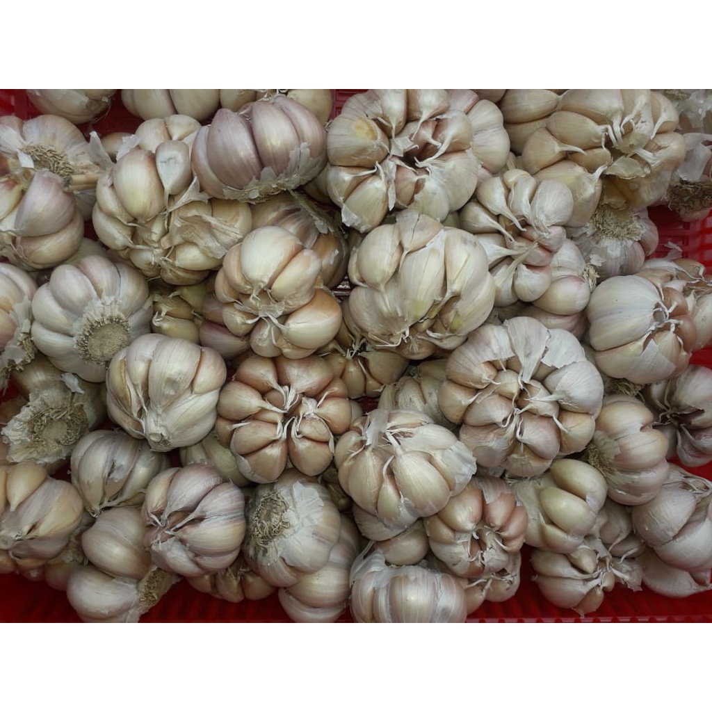 

Bawang putih 250gr