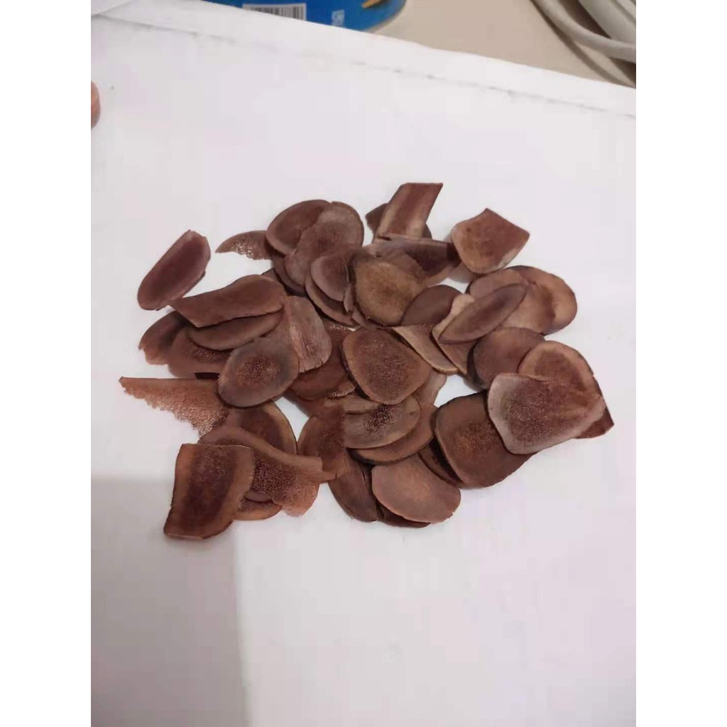 

Deer Velvet Slice / Tanduk Rusa /Lu rong 鹿茸片 1 gram