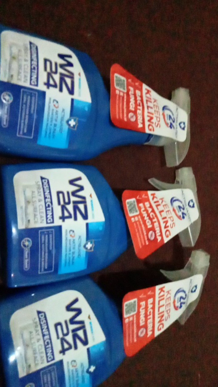 Wiz 24 Disinfectan Spray Btl 450 Ml