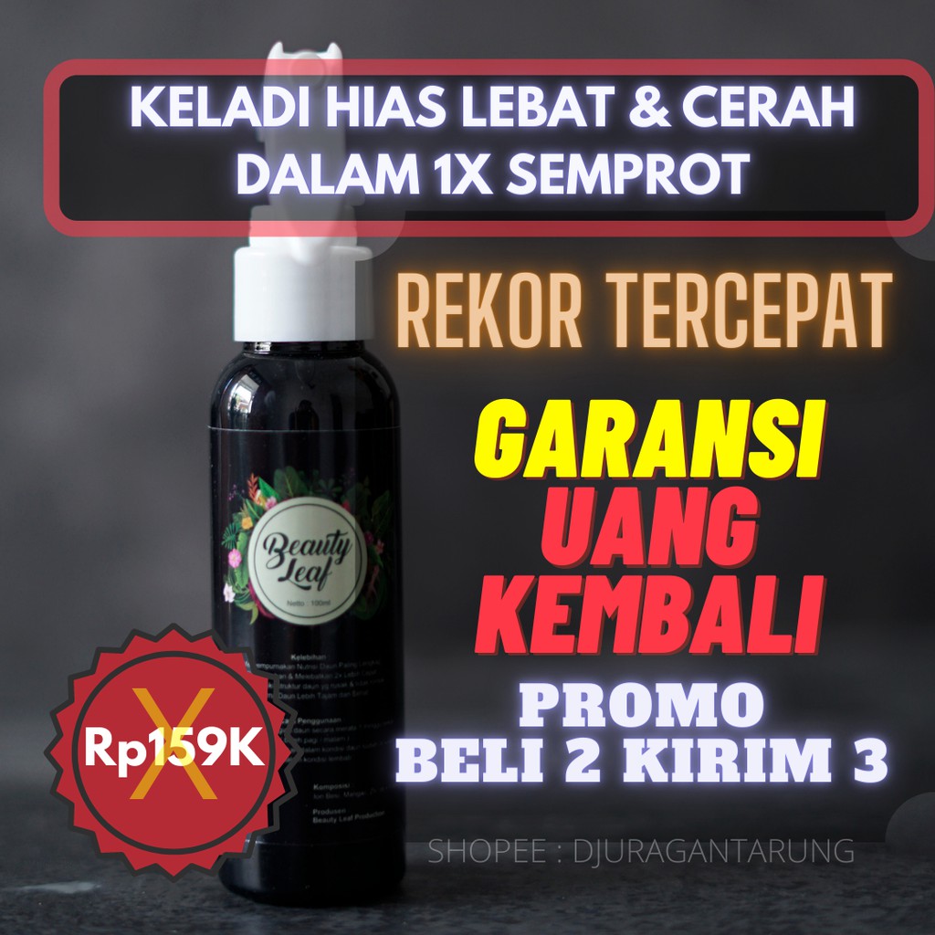 Pupuk Bunga Keladi Hias, Pupuk Bunga Keladi Agar Subur, Pupuk Bunga Keladi Alami, Pupuk Bunga Keladi