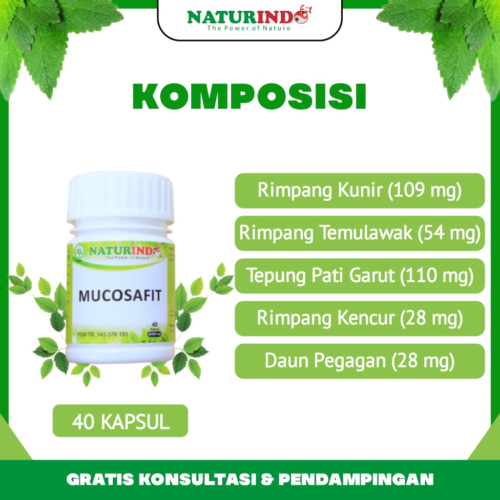 Obat Herbal Asam Lambung Tinggi Maag Magh & Gerd Kronis Gastritis Tukak Lambung Akut Sakit Perut Nyeri Ulu Hati Kembung Gangguan Pencernaan Panas Dalam Mucosafit Naturindo Bpom Herbal Paling Ampuh Halal Tanpa Efek Samping-2
