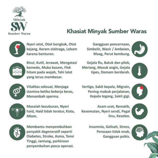 Minyak Balur Sw Sumber Waras Herbal Aromaterapi Shopee Indonesia