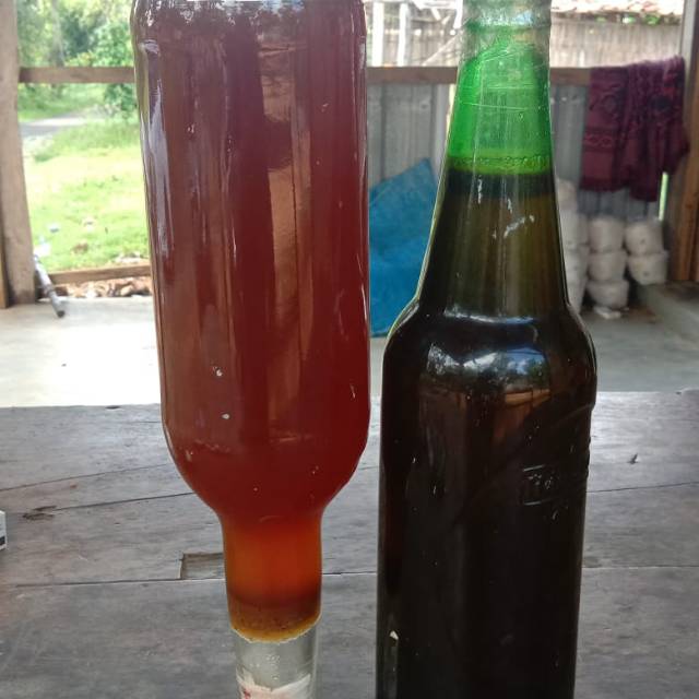

Madu murni dijamin asli 100% harga dan kualitas pasti sama