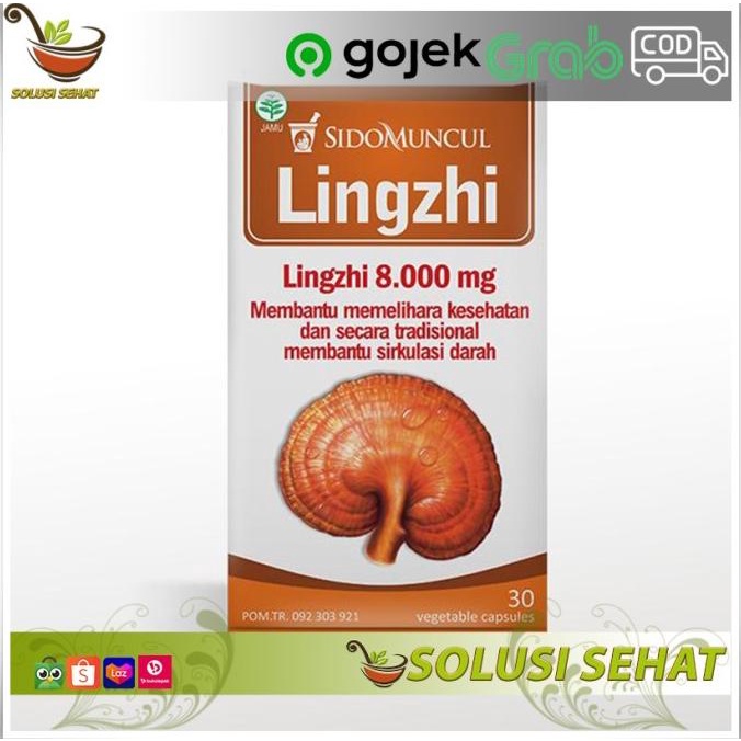 Obat Herbal Jamur Lingzhi Sidomuncul Detoksifikasi - Daya Tahan Tubuh