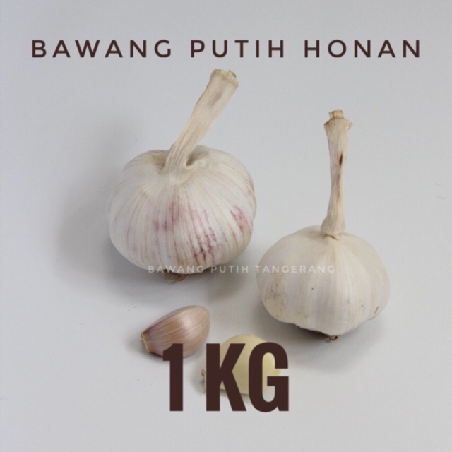 

Bawang Putih Honan, Best Quality 1 kg