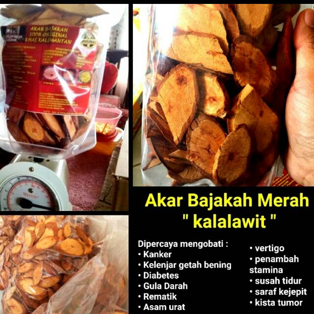 

Akar Bajakah kalimantan