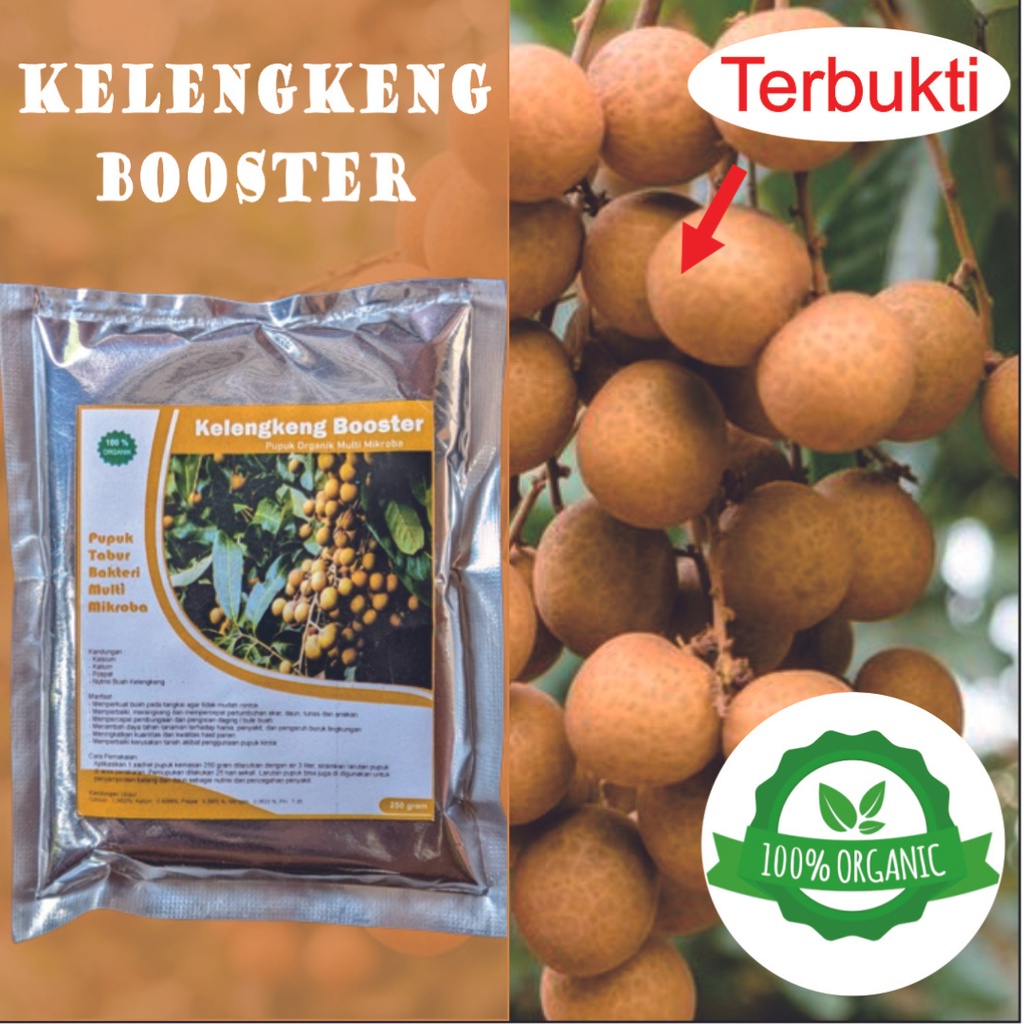PUPUK BOOSTER KELENGKENG || PUPUK KELENGKENG || PERANGSANG BUAH
