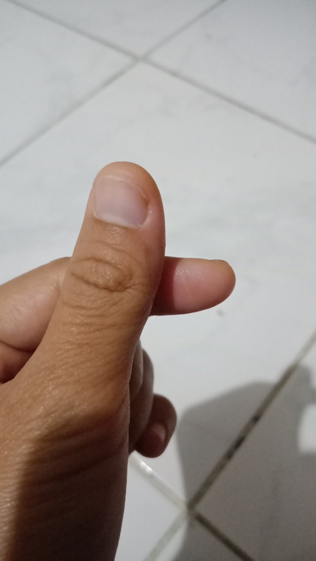 Stella All In One - Pengharum Ruangan