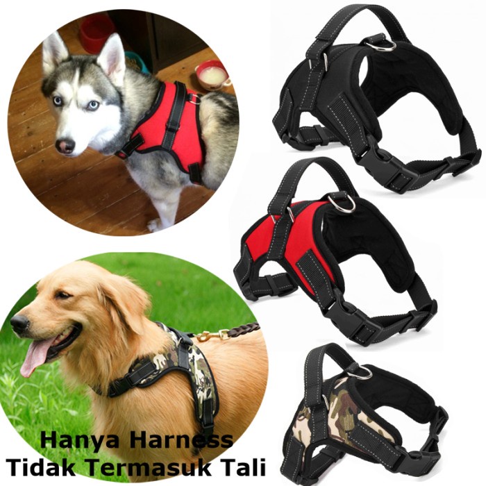Terlaris Tali Tuntun Anjing Kecil Sedang Dog Leash Harness Small Size S K99 S Shopee Indonesia