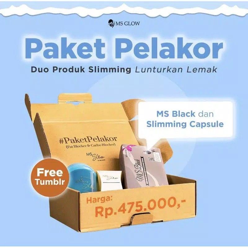 Paket Pelakor MS Slim By MS Glow