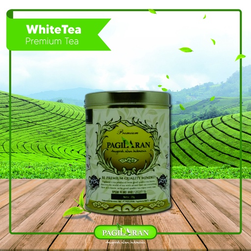 

Teh Putih Premium (Premium White Tea) PAGILARAN (20 gr)