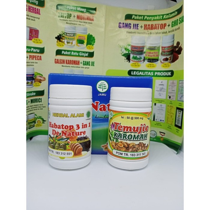 obat penyakit kuning hepatitis liver kronis aman untuk ibu hamil ampuh 100%