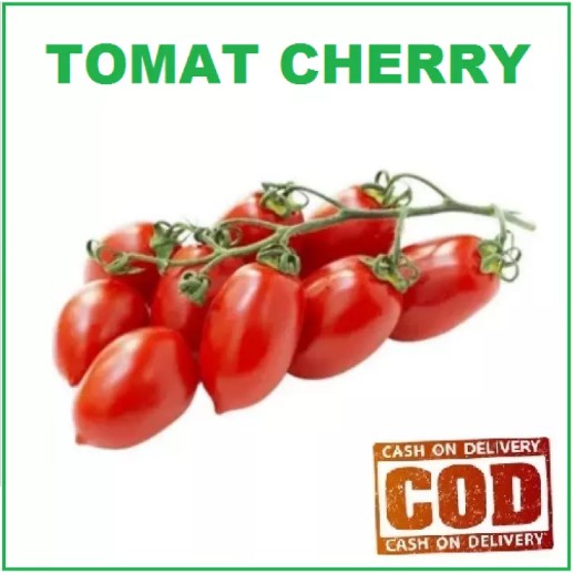 Bisa Bayar di tempat - TOMAT CHERRY MERAH 12 Biji / Benih / bibit ( TOMAT MERAH / TOMAT ORANGE / TOM