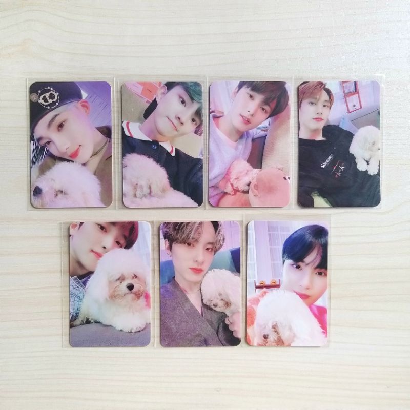 The Boyz Chase Benefit Withdrama 3 Photocards