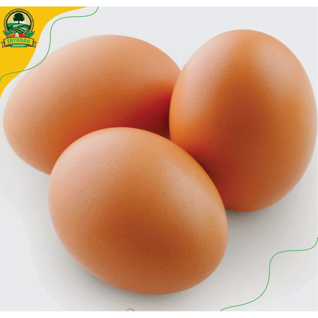 

Segar Telur Ayam /kg