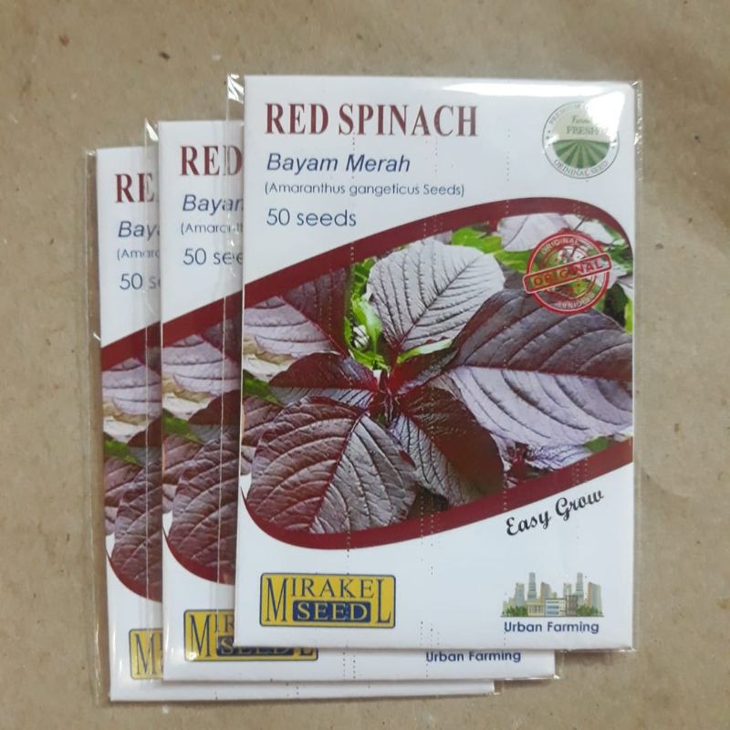 BENIH RED SPINACH (BAYAM MERAH)