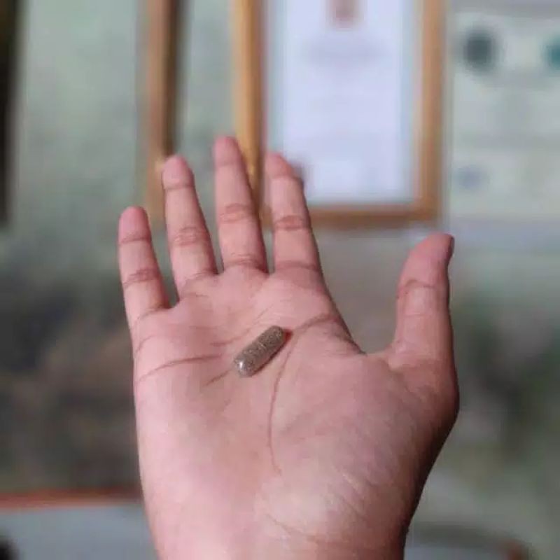 Kapsul Ilmu Saif Ali (Tajrib)