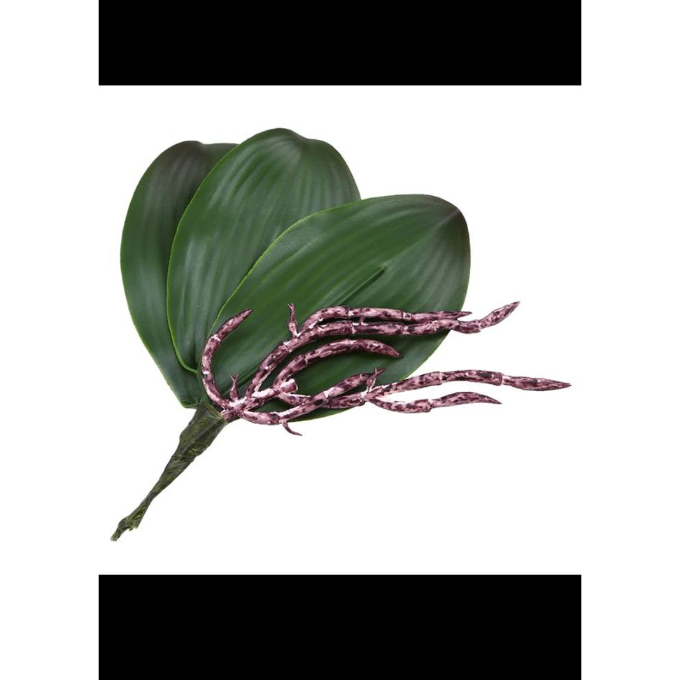 Daun Anggrek Palsu / Anggrek Latex