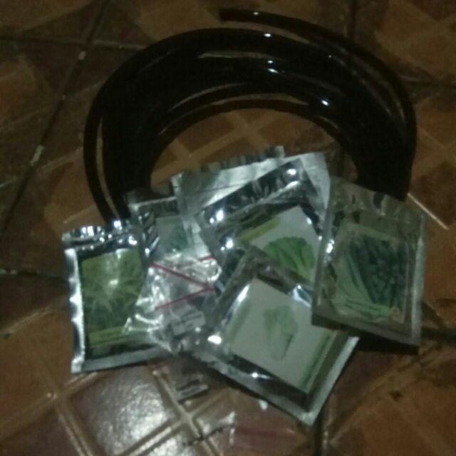 Benih Bibit Biji Kale Nero Lacinato Kemasan Alumunium Foil