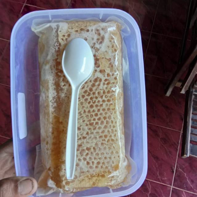 

MADU SARANG MURNI 500gr