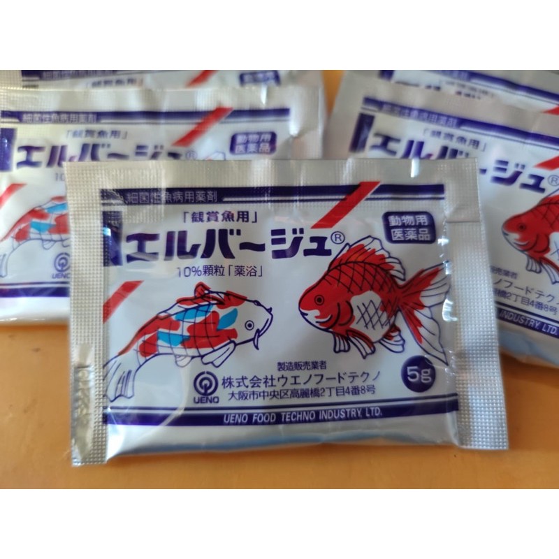 Elbayu Obat Bakteri Ikan Koi Obat Aeromonas Obat Ikan Koi