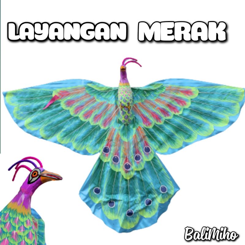 620 Koleksi Gambar Burung Merak Bali HD Terbaru