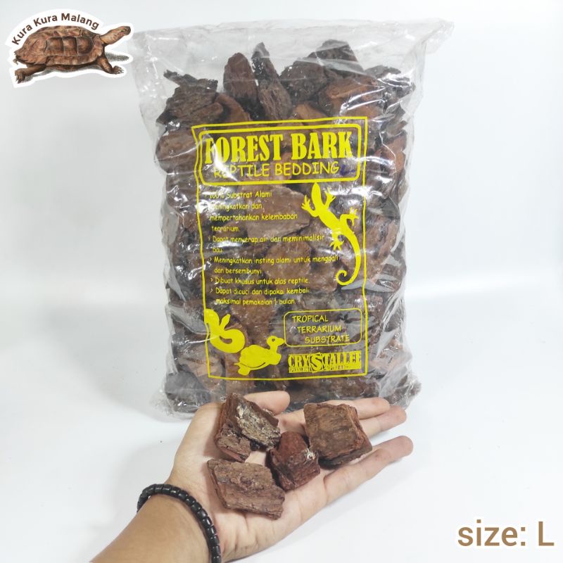 forest bark alas kandang reptil kura tortoise redfoot kadal tegu torto