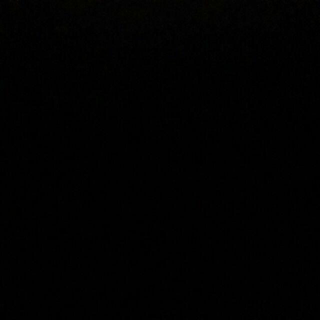 Kotak Tempat Sikat Gigi Motif Transparan Polos & Rilakuma.